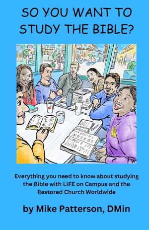 So You Want to Study the Bible book cover